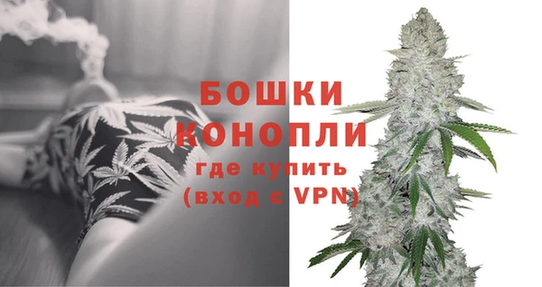Альфа ПВП Каменка