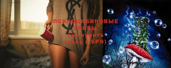 ПСИЛОЦИБИНОВЫЕ ГРИБЫ Каменногорск