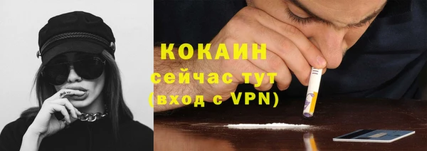 Альфа ПВП Каменка