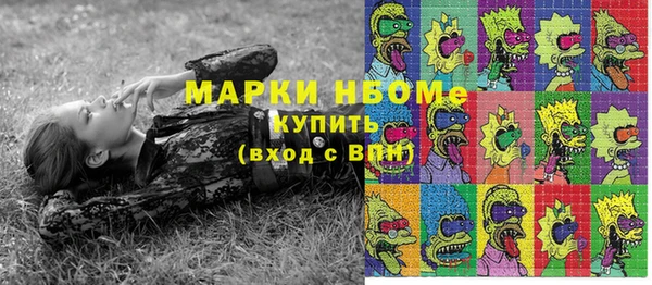 ПСИЛОЦИБИНОВЫЕ ГРИБЫ Каменногорск