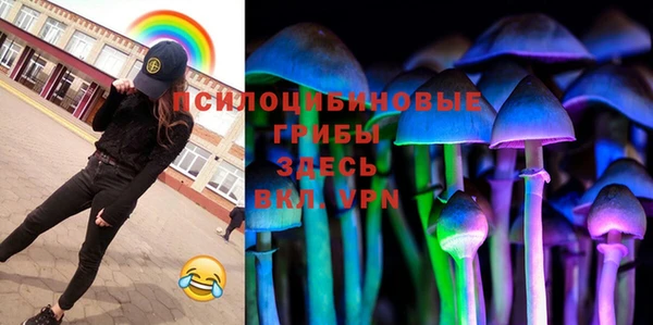 ПСИЛОЦИБИНОВЫЕ ГРИБЫ Каменногорск
