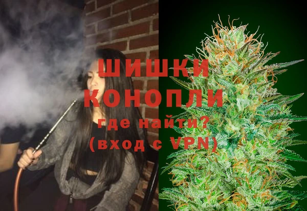 ПСИЛОЦИБИНОВЫЕ ГРИБЫ Каменногорск