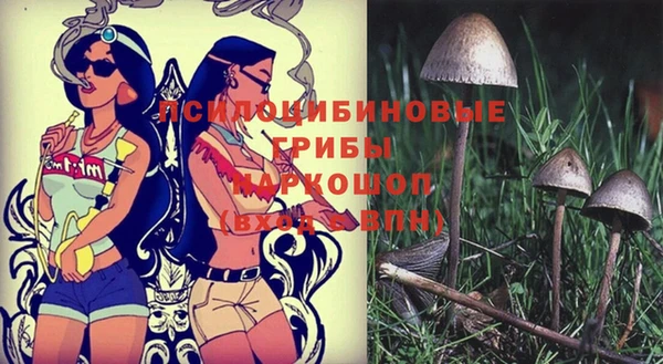 прущая мука Каменск-Шахтинский