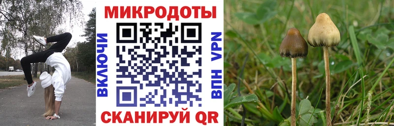 Псилоцибиновые грибы Psilocybine cubensis  Купить закладки  Ижевск 