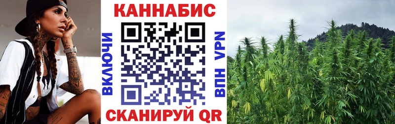 Купить  Ижевск  МАРИХУАНА сатива 